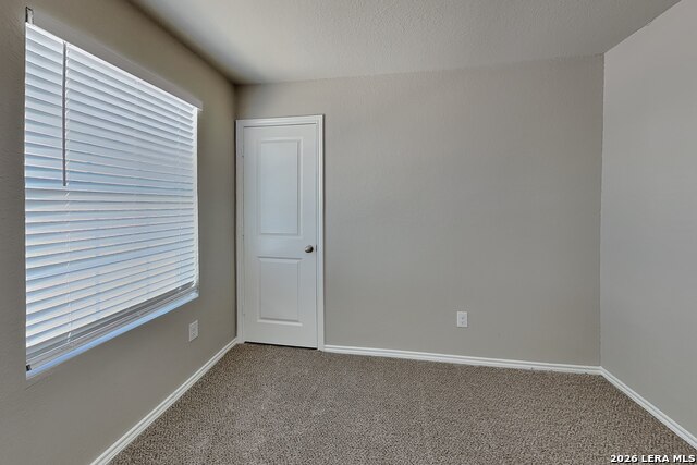 5202 Everett Loop Property Photo 13