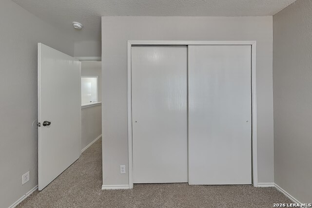 16102 Ambush Grove Property Photo 10