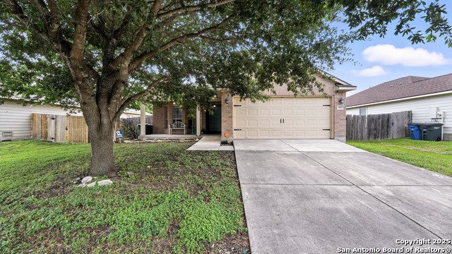 427 Roadrunner Property Photo 4
