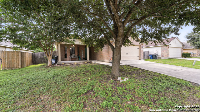 427 Roadrunner Property Photo 5