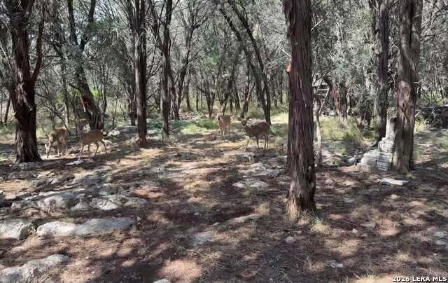 948 Woodland Oaks Property Photo 8