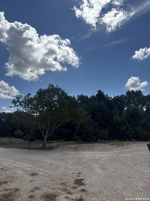 316 Pecan Property Photo 7