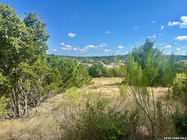 711 Backdrop Property Photo 4