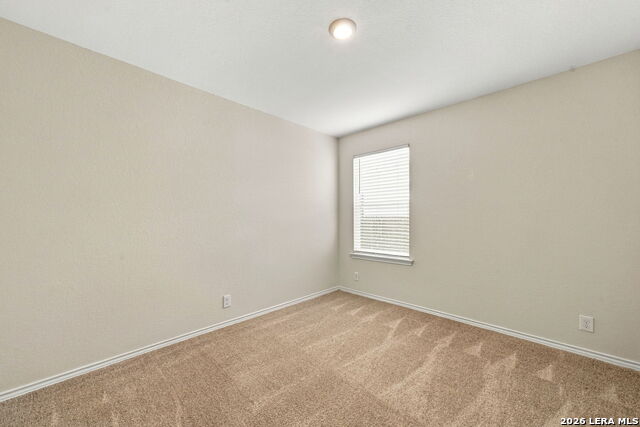 314 Moscovy Duck Property Photo 22
