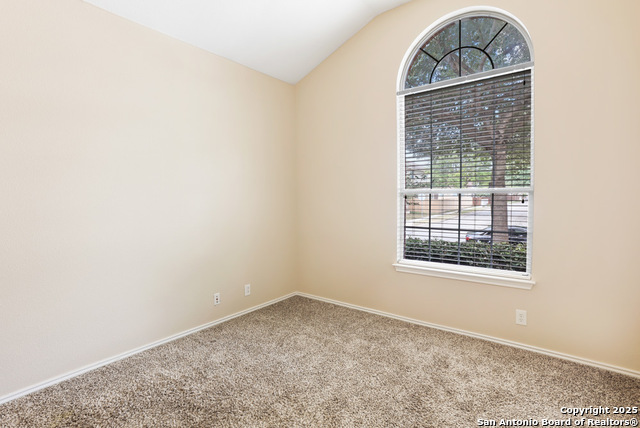 157 Crimson Tree Property Photo 19