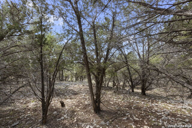 108 Highland Woods Property Photo 49