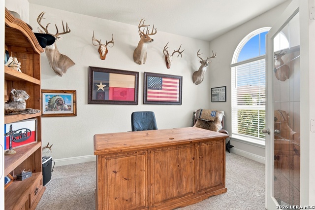 29519 Dusty Copper Property Photo 4