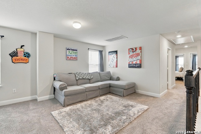 29519 Dusty Copper Property Photo 18