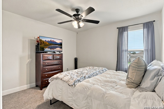 29519 Dusty Copper Property Photo 22