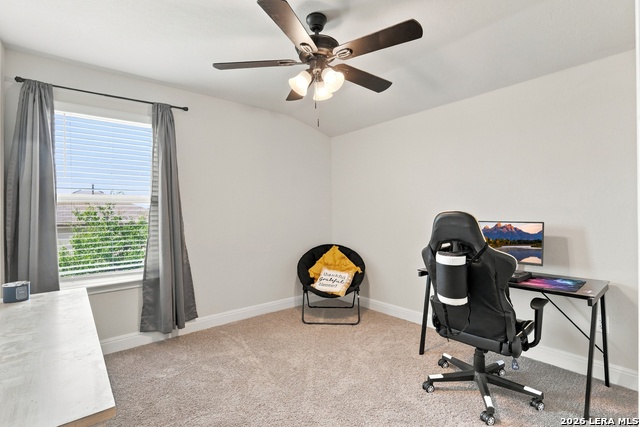 29519 Dusty Copper Property Photo 24