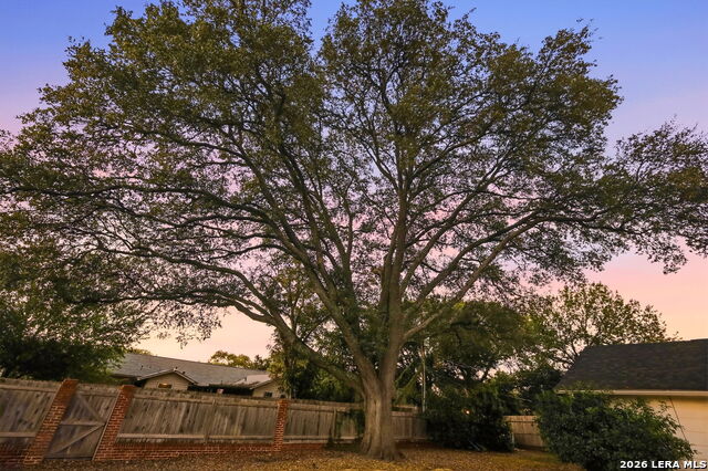 9818 Lantana Property Photo 32