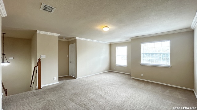 217 Crimson Tree Property Photo 17