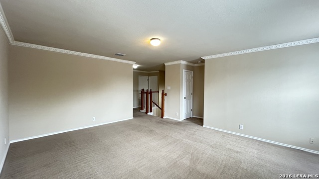 217 Crimson Tree Property Photo 18