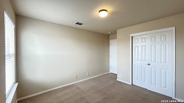 217 Crimson Tree Property Photo 20