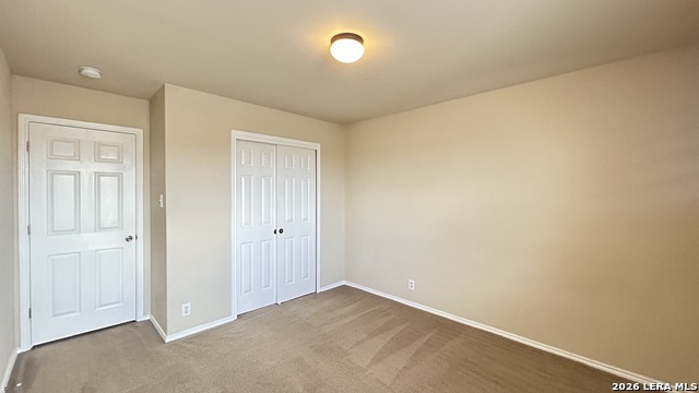 217 Crimson Tree Property Photo 21