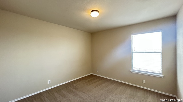 217 Crimson Tree Property Photo 22