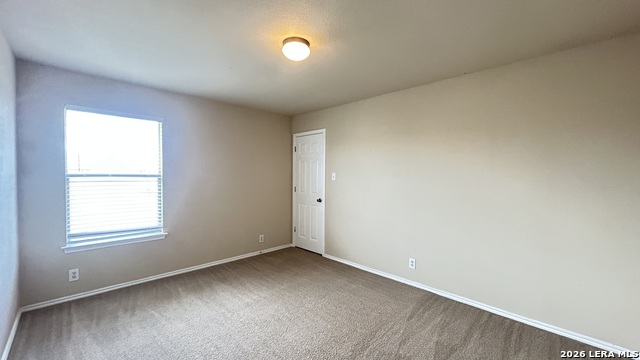 217 Crimson Tree Property Photo 26