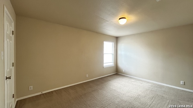 217 Crimson Tree Property Photo 29