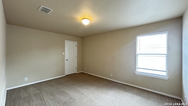 217 Crimson Tree Property Photo 30
