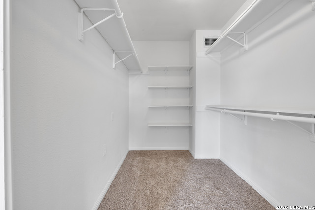 11418 Lago Vis Property Photo 21