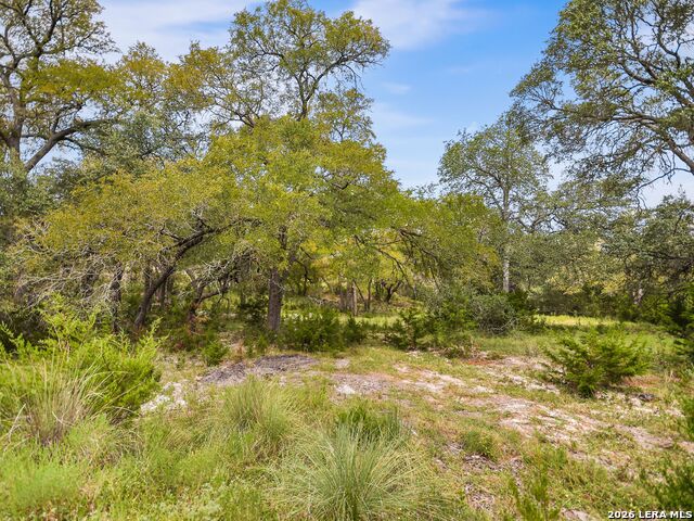 Lot 14 Thunder Cyn Property Photo 3