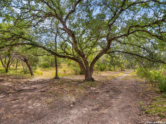 Lot 14 Thunder Cyn Property Photo 10