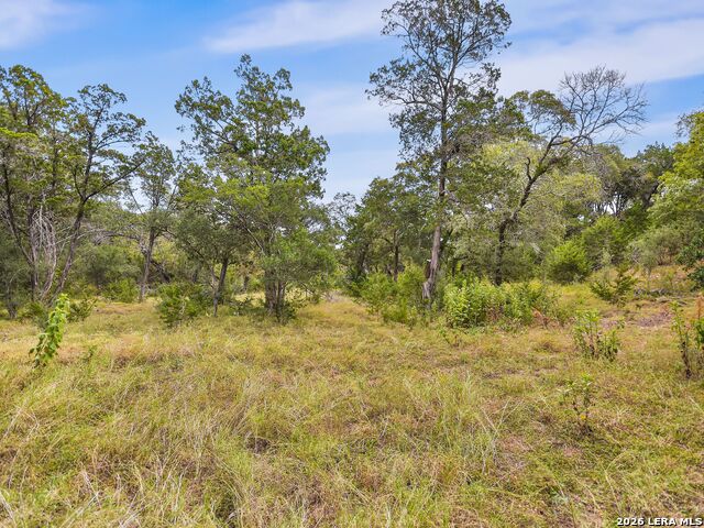 Lot 14 Thunder Cyn Property Photo 12
