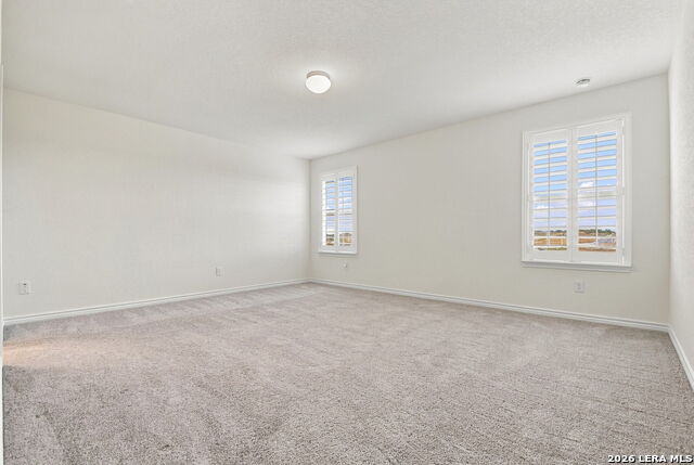 1315 Atticus Ave Property Photo 21