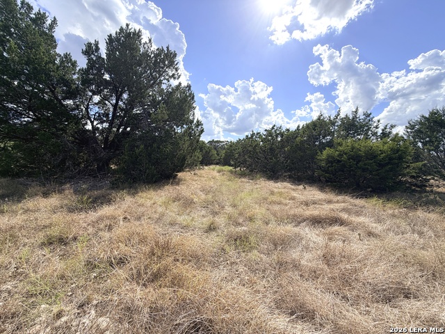 Lot 46 Riparian Elm Rd Property Photo 6