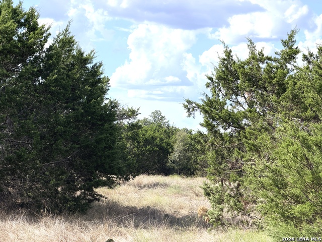 Lot 46 Riparian Elm Rd Property Photo 10