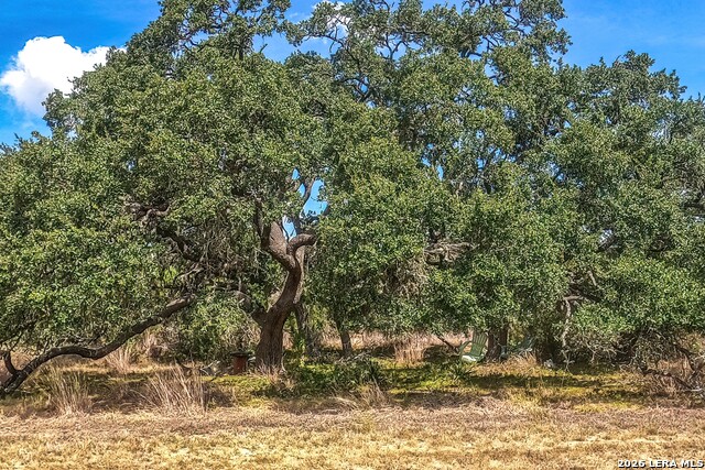 100 Red Rock Rd Property Photo 12
