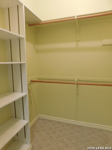 110 Hunters Glen Property Photo 19