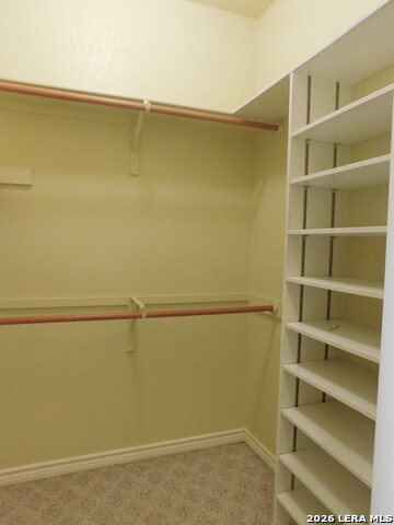 110 Hunters Glen Property Photo 20
