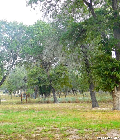 110 Hunters Glen Property Photo 45