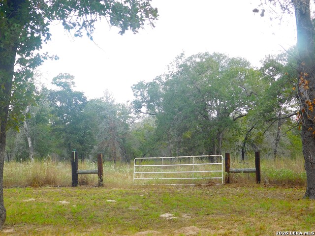 110 Hunters Glen Property Photo 47