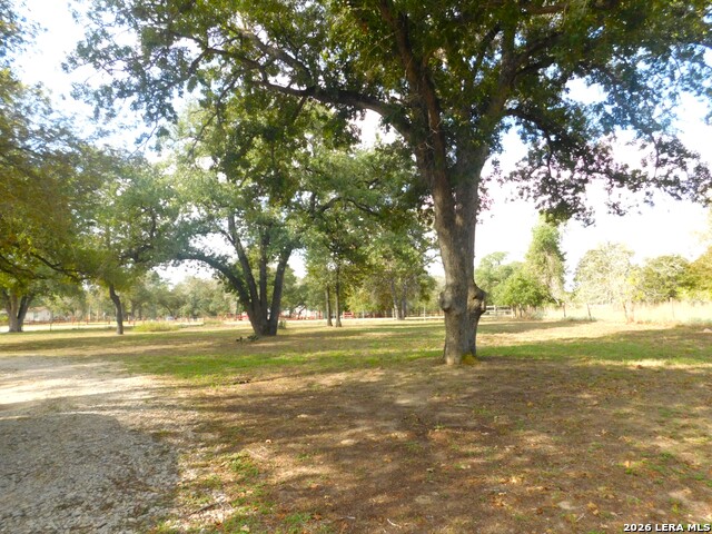 110 Hunters Glen Property Photo 53