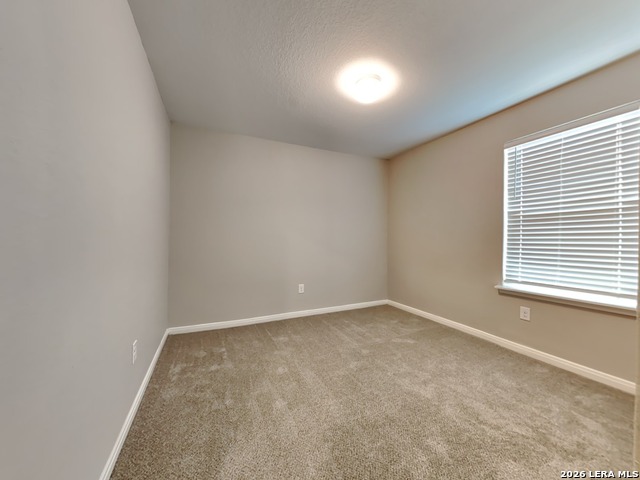 2910 Lavender Mdw Property Photo 13