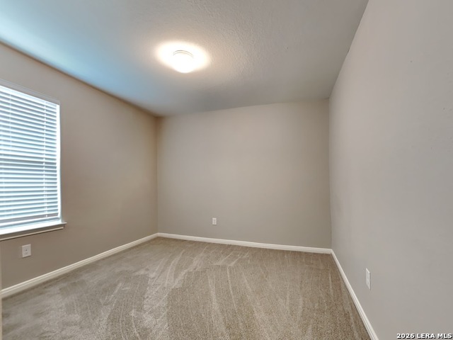 2910 Lavender Mdw Property Photo 14