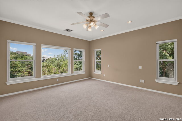 209 Overlook Ct Property Photo 39