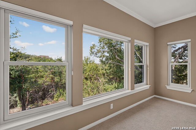 209 Overlook Ct Property Photo 45