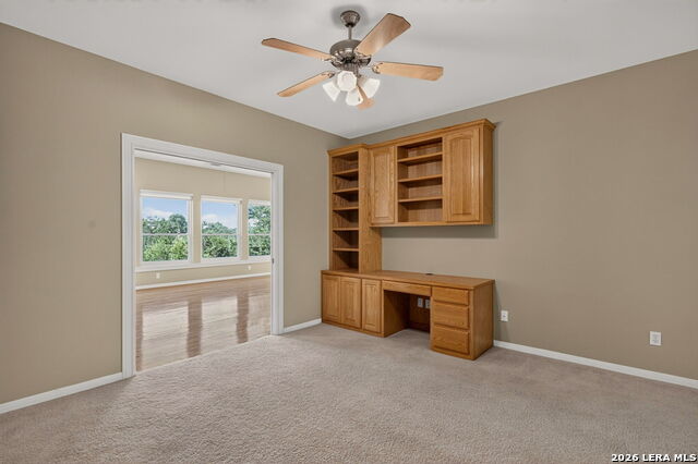 209 Overlook Ct Property Photo 56