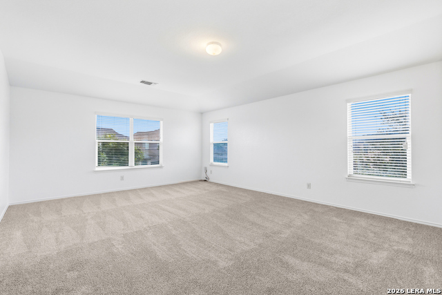 3906 Medina Br Property Photo 13