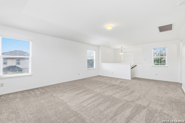 3906 Medina Br Property Photo 14