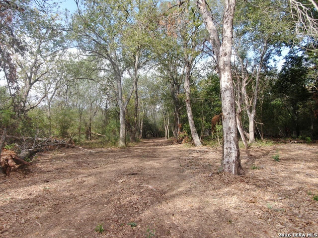 00 Fm 463 Property Photo 4