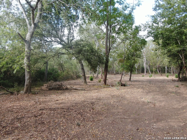 00 Fm 463 Property Photo 5