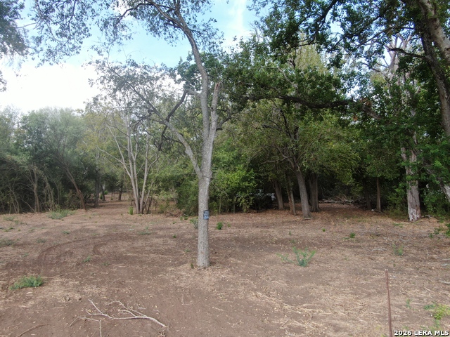 00 Fm 463 Property Photo 6
