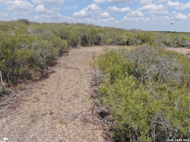 00 Fm 463 Property Photo 18