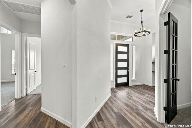 3716 Cualquiera Property Photo 6