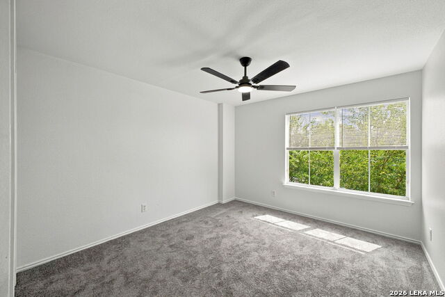 9007 Walnut Spgs Property Photo 14