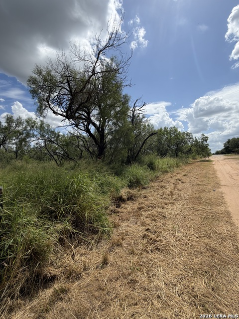 307 Bluebonnet Property Photo 1
